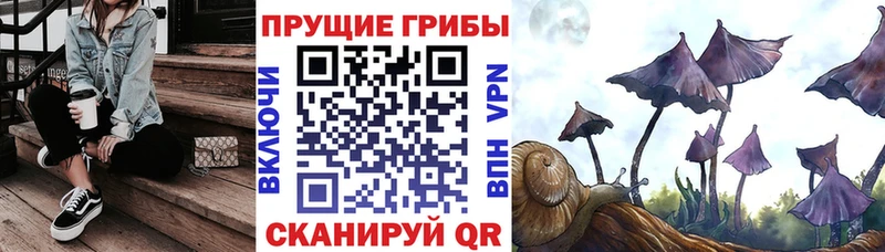 Псилоцибиновые грибы ЛСД Фокино