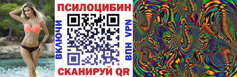 Псилоцибиновые грибы Psilocybe  наркота  Фокино 